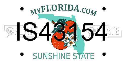 IS43154 Florida License Plate