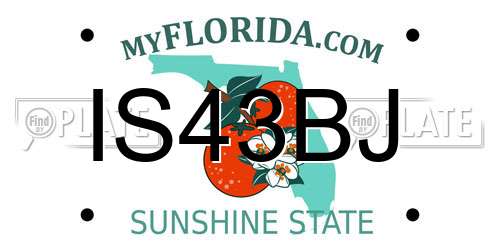 IS43BJ Florida License Plate