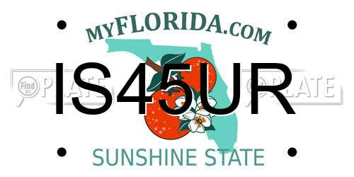 IS45UR Florida License Plate