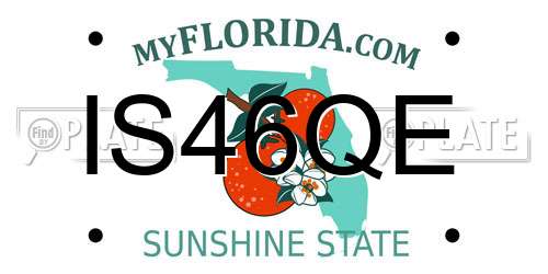 IS46QE Florida License Plate