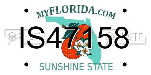 IS47158 Florida License Plate