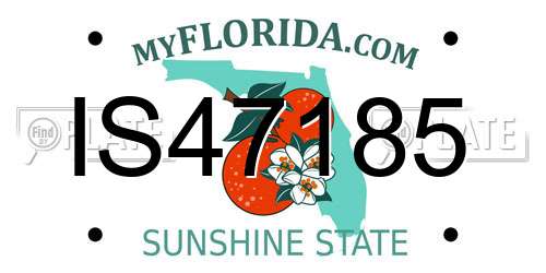 IS47185 Florida License Plate