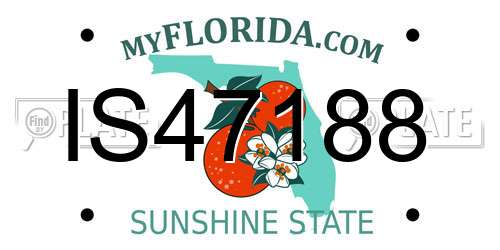 IS47188 Florida License Plate