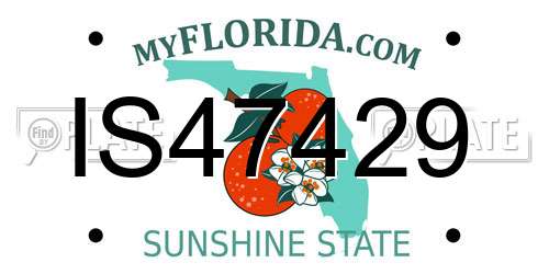 IS47429 Florida License Plate