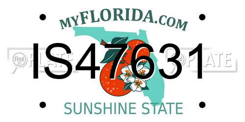 IS47631 Florida License Plate