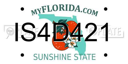 IS4D421 Florida License Plate