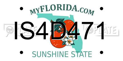 IS4D471 Florida License Plate