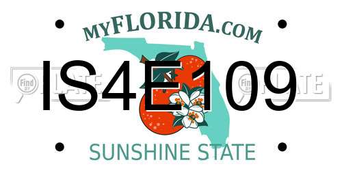 IS4E109 Florida License Plate