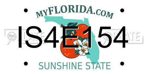 IS4E154 Florida License Plate