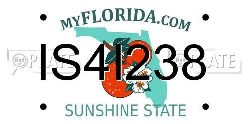 IS4I238 Florida License Plate