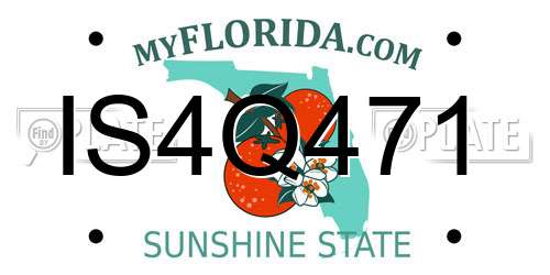 IS4Q471 Florida License Plate