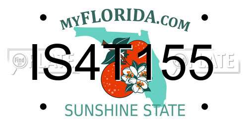 IS4T155 Florida License Plate