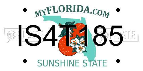 IS4T185 Florida License Plate