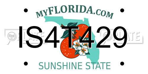 IS4T429 Florida License Plate