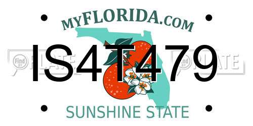 IS4T479 Florida License Plate