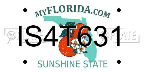 IS4T631 Florida License Plate