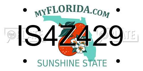 IS4Z429 Florida License Plate