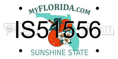 IS51556 Florida License Plate