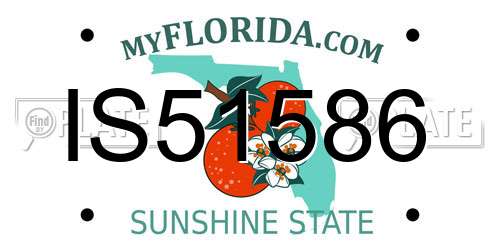 IS51586 Florida License Plate