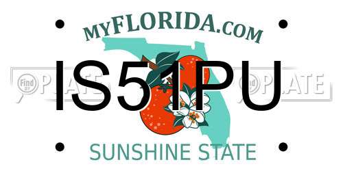 IS51PU Florida License Plate