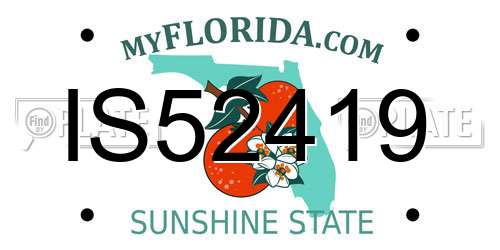 IS52419 Florida License Plate