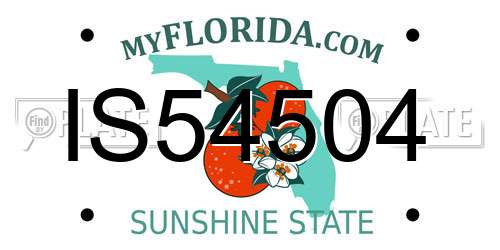 IS54504 Florida License Plate