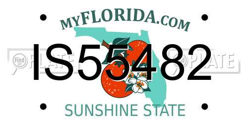 IS55482 Florida License Plate