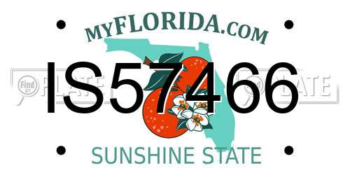 IS57466 Florida License Plate