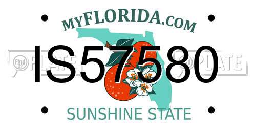 IS57580 Florida License Plate