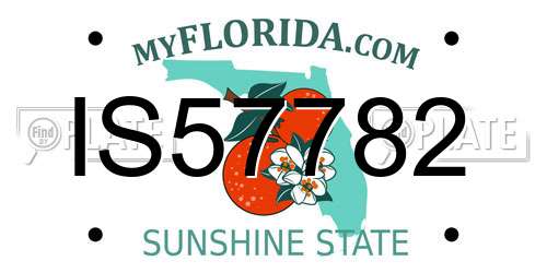 IS57782 Florida License Plate