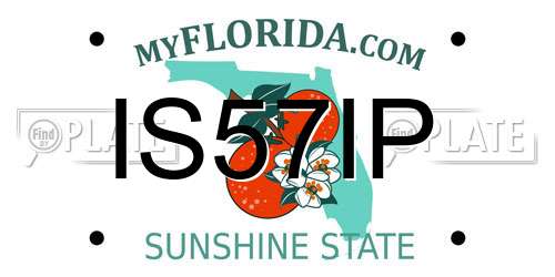 IS57IP Florida License Plate