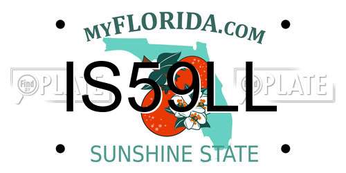 IS59LL Florida License Plate