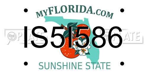 IS5I586 Florida License Plate