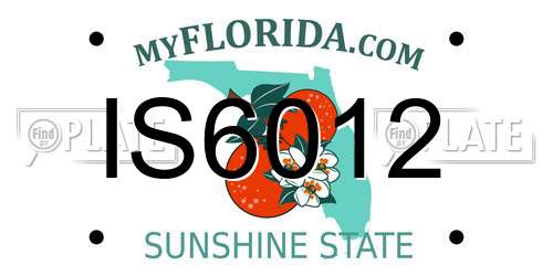 IS6012 Florida License Plate