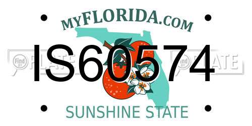IS60574 Florida License Plate