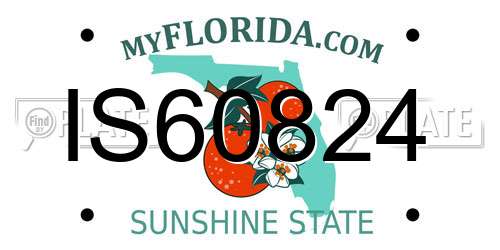 IS60824 Florida License Plate