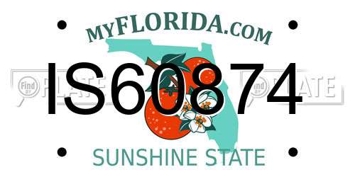 IS60874 Florida License Plate