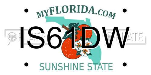 IS61DW Florida License Plate