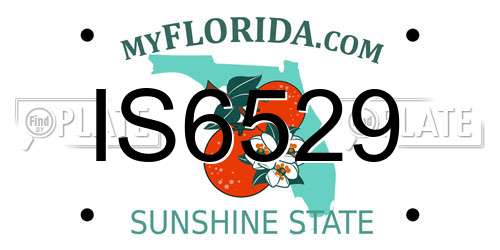 IS6529 Florida License Plate