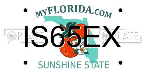 IS65EX Florida License Plate