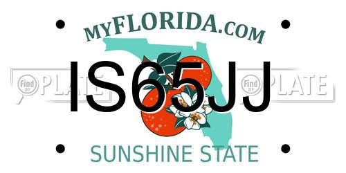 IS65JJ Florida License Plate