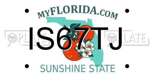 IS67TJ Florida License Plate