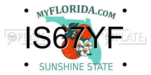 IS67YF Florida License Plate