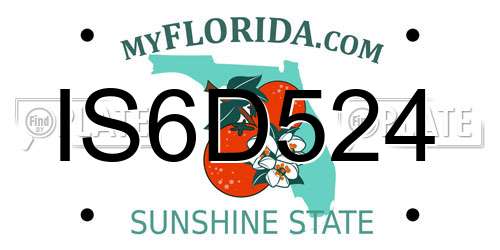 IS6D524 Florida License Plate