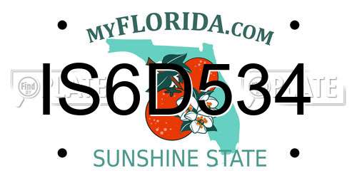 IS6D534 Florida License Plate