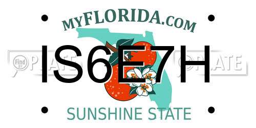 IS6E7H Florida License Plate
