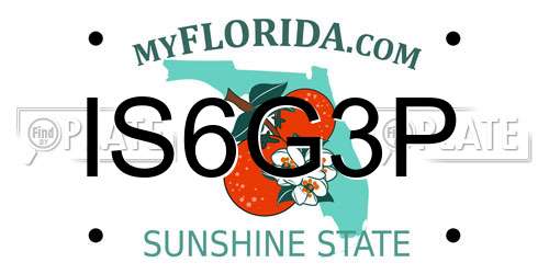 IS6G3P Florida License Plate