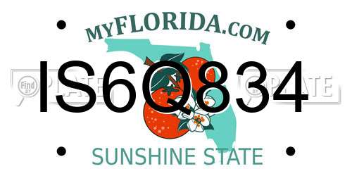 IS6Q834 Florida License Plate