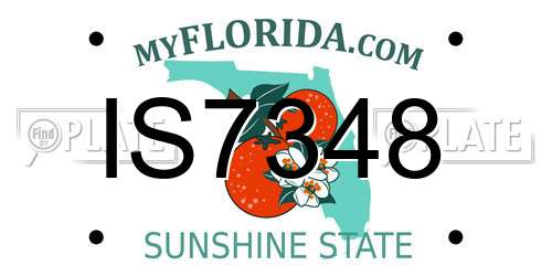 IS7348 Florida License Plate