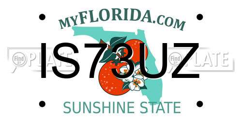 IS73UZ Florida License Plate